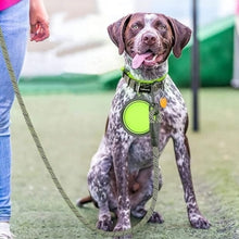 Charger l&#39;image dans la galerie, Laisse pour chien || ProLonge™
