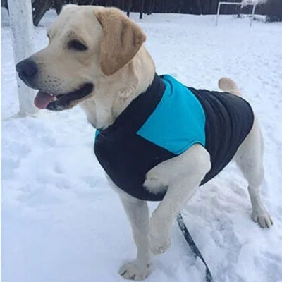 Manteau-pour-chien-pour-hiver