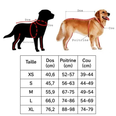 Manteau pour Chien | Imperméable Confort