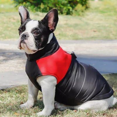 Manteau-pour-chien-rouge
