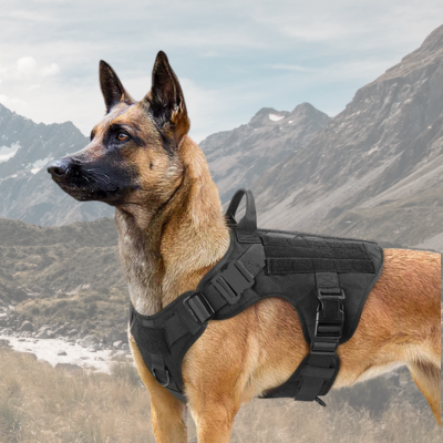 Harnais Chien - EliteTrek harnais  Anti Traction