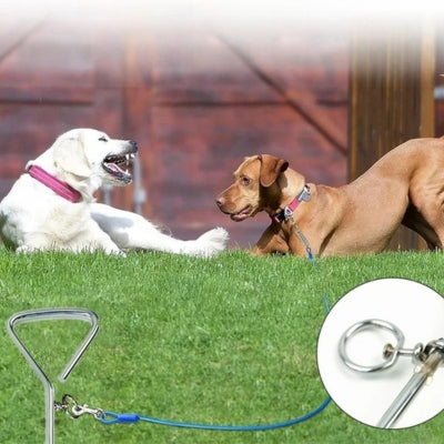 Piquet-pour-chien-anneau-360