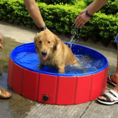 Piscine-pour-chien-Aquadog-rafraichissante