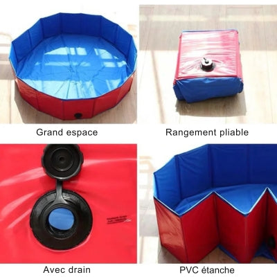 Piscine-pour-chien-caracteristiques