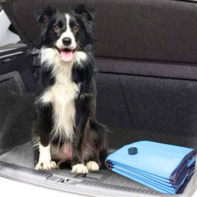 Piscine-pour-chien-pliable