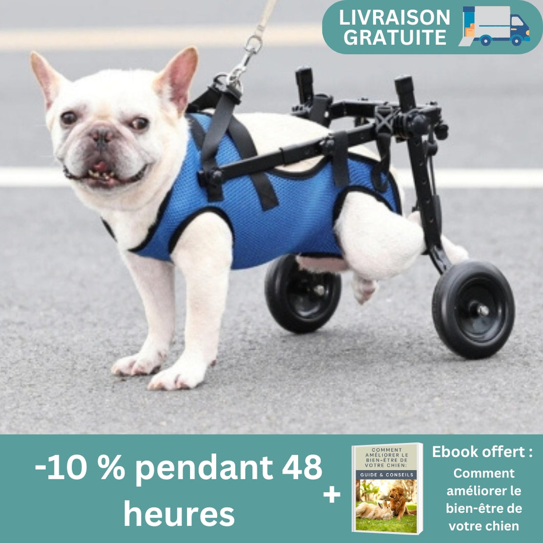 Fauteuil Roulant pour Chien - Chariot Mobilité Canin