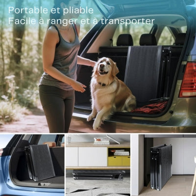 Rampe-pour-chien-portable-et-pliable