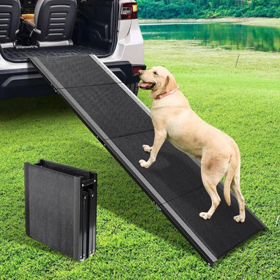 Rampe-pour-chien-portable