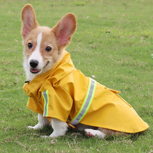 Charger l&#39;image dans la galerie, Imperméable-pour-chien-pour-petit-chien
