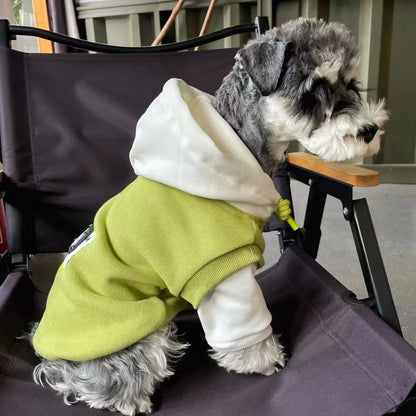 Vetement-pour-chien-profil