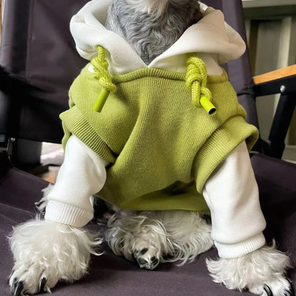 Vetement-pour-chien-mignon-et-chaud