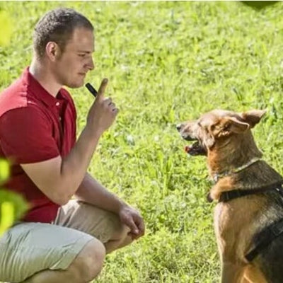 Sifflet-ultrason-pour-chien-education-anti-aboiement