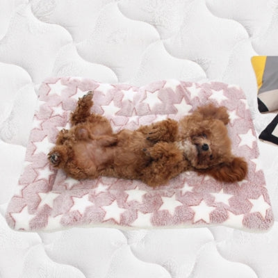 Tapi-pour-chien-rose-petit-chien