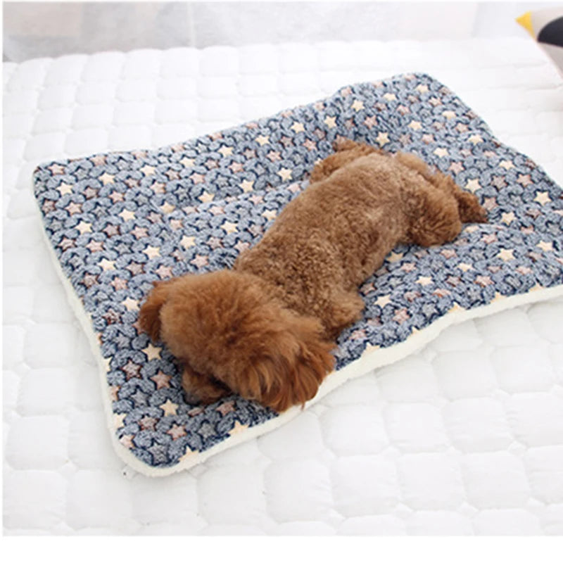 Tapis-pour-chien-de-voyage