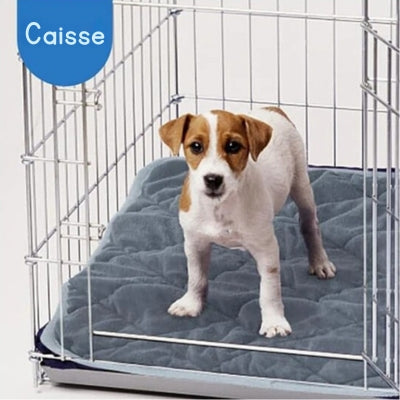 Tapis-pour-chien-pour-caisse-de-voyage