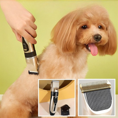 Tondeuse-pour-chien-propreté-obligatoire