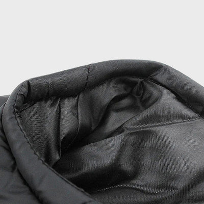 Vetement-pour-chien-automne