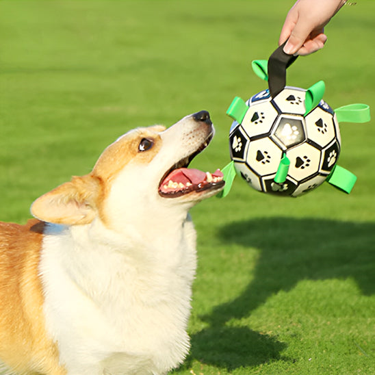 ballon-resistant-jeu-chien