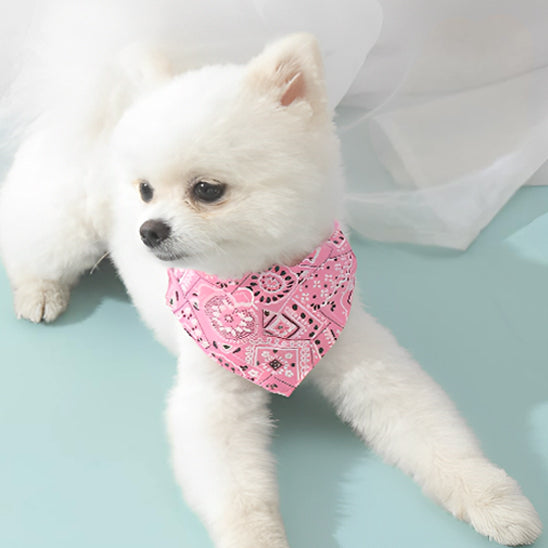 bandana-chien-rose