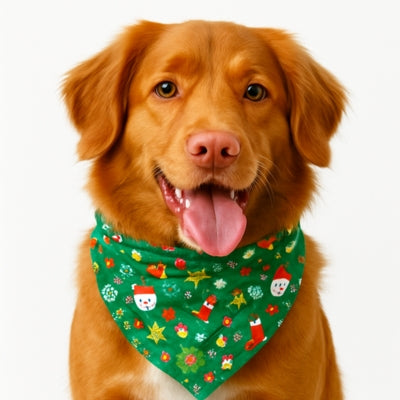 bandana-festif-pour-chien