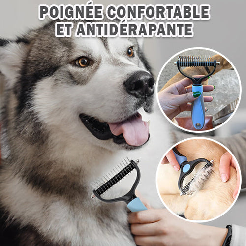 brosse-pour-chien-sante-du-chien