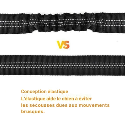 ceinture-de-securite-elastique