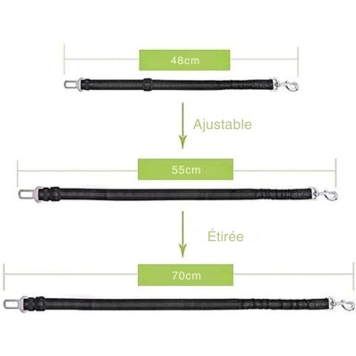 ceinture-de-securite-pour-chien-adaptable