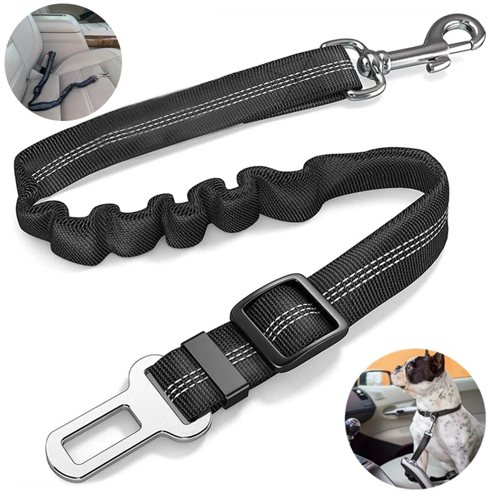 ceinture-de-securite-pour-chien-pratique