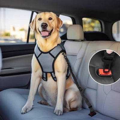 ceinture-de-securite-pour-chien-voyage