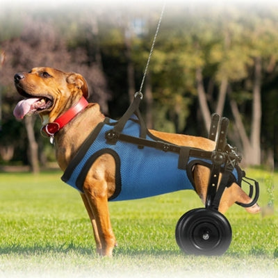 chariot-pour-chien-handicape-petit-moyen-chien