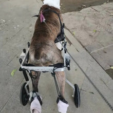 Charger l&#39;image dans la galerie, chariot-pour-chien-handicape-vue-arriere
