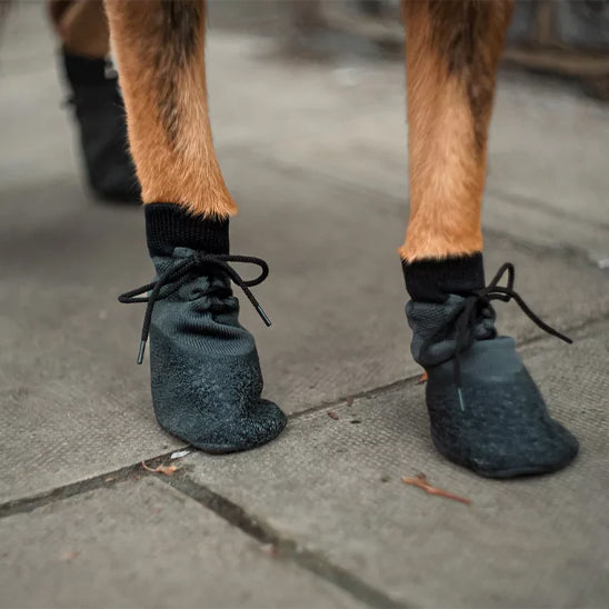 chaussette-pour-chien-tricotee-noire