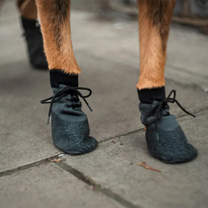 chaussette-pour-chien-tricotee-noire