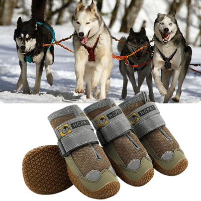 chaussures-pour-chien-durable