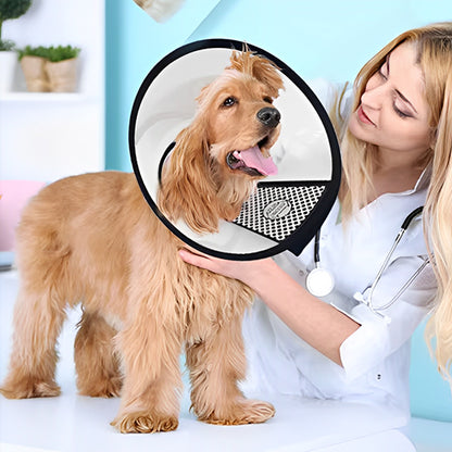 collerette-chien-ajustement-velcro