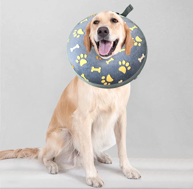 collerette-chien-avec-pattes