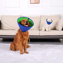 Charger l&#39;image dans la galerie, collerette-chien-evite-traumatismes
