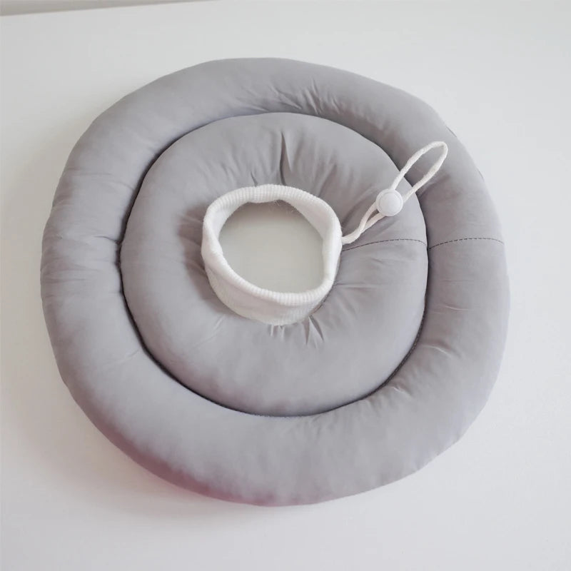 collerette-chien-gris