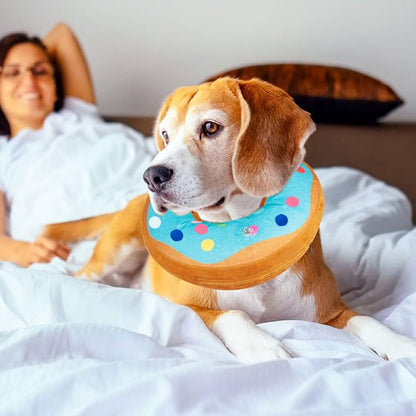 collerette-chien-lavable-anti-stress