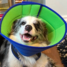 Charger l&#39;image dans la galerie, collerette-chien-pas-stressante
