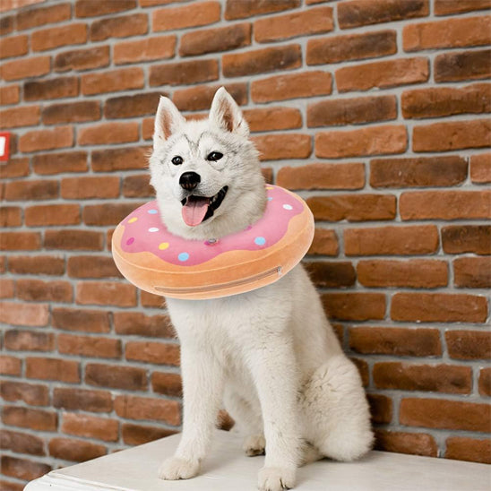 collerette-chien-polyester-ajustable