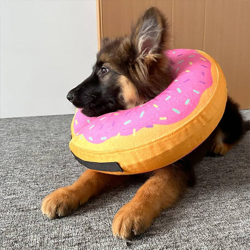 collerette-chien-post-operatoire-confort