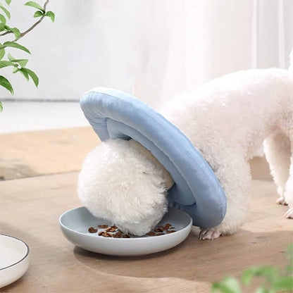 collerette-chien-qui-ne-gene-pas