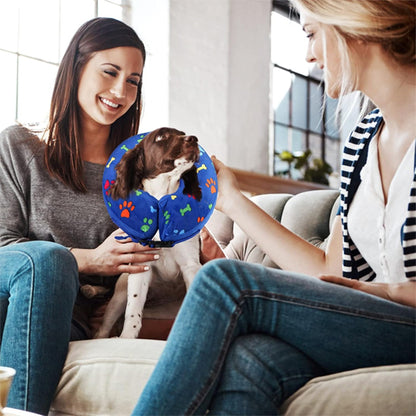 collerette-chien-recupération-plaie