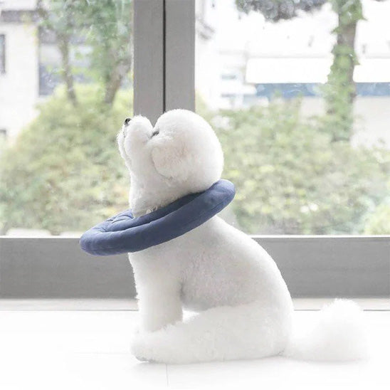 collerette-chien-souple-et-legere