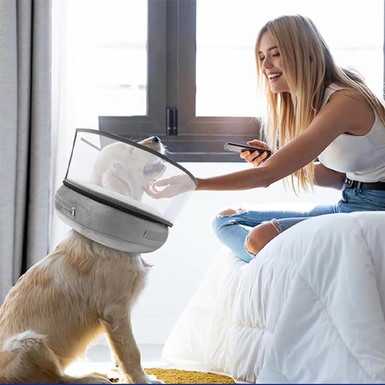 collerette-pour-chien-anti-lechage