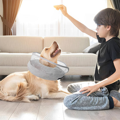 collerette-pour-chien-confortable