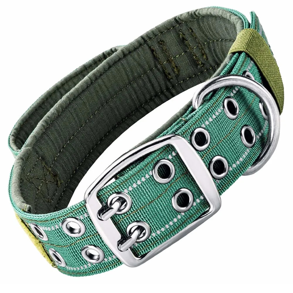 collier-avec-poignee-pour-dressage-vert