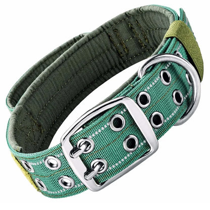 collier-avec-poignee-pour-dressage-vert