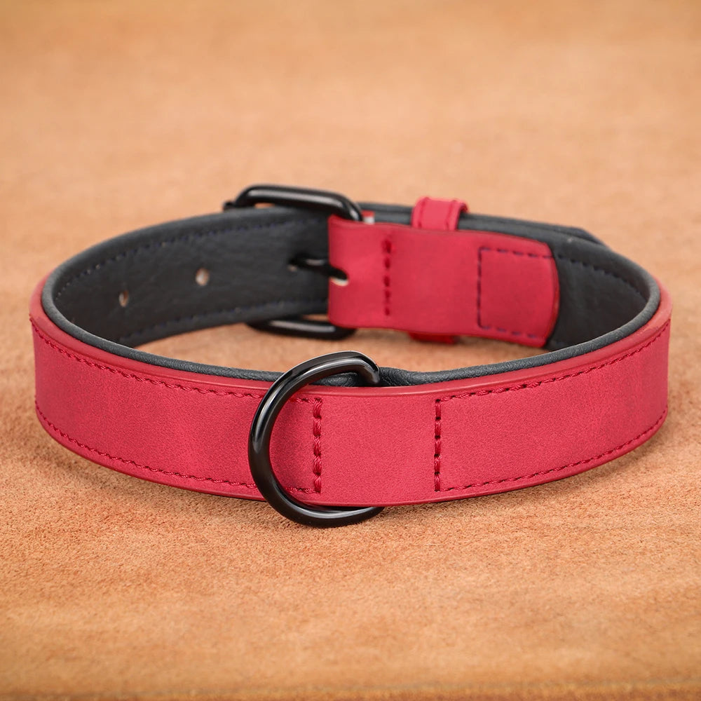 collier-chien-ajustable-en-cuir